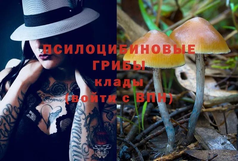 Галлюциногенные грибы MAGIC MUSHROOMS  Тарко-Сале 